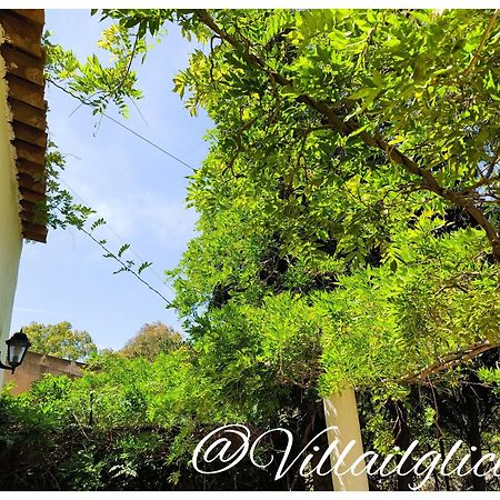 Villa Il Glicine Vulcano  Εξωτερικό φωτογραφία